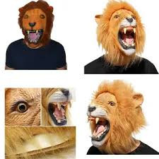 images?q=tbn:ANd9GcRUwwitnj dPMzQXfUEnow5warUEYrZbWwmYUbC3IfyL7vgU7KC.jpg