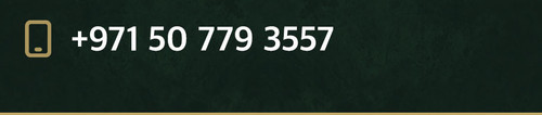T Recovered 05.jpg