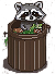raccoon1.png