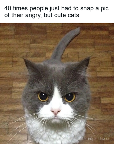 7b886255 9fef 46ec a4e1 99122dd7f020.png