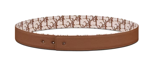 Dior x CACTUS JACK 35MM Belt Strap Coffee Beige 2.png