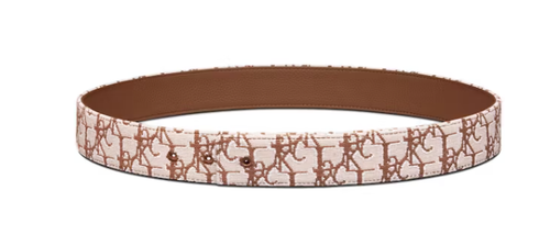 Dior x CACTUS JACK 35MM Belt Strap Coffee Beige 1.png