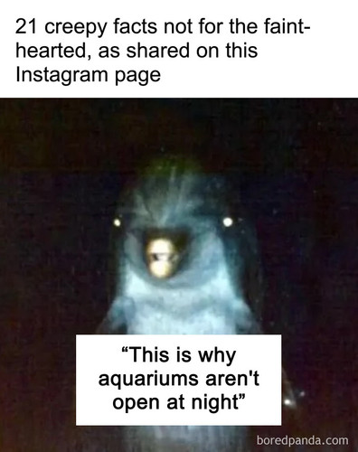 creepy random facts.jpg