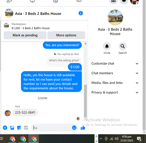 203.png