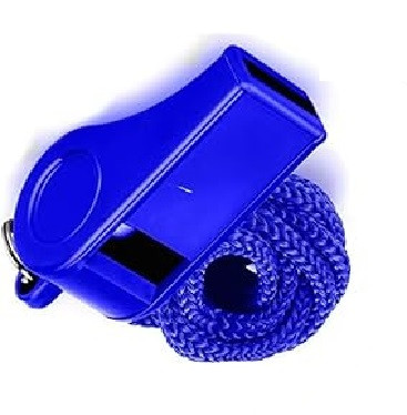 71lfz7s1RHL. AC SX679 (1).jpg