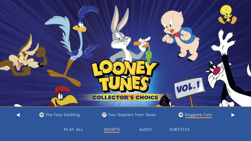 photo 1 2025 01 31 10 06 20.jpg