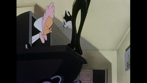 photo 3 2025 01 31 10 31 03.jpg