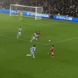 mmexport1738334792728.gif