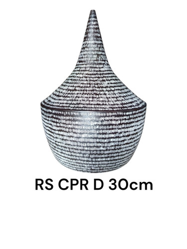 RS CPR D 30cm.jpg