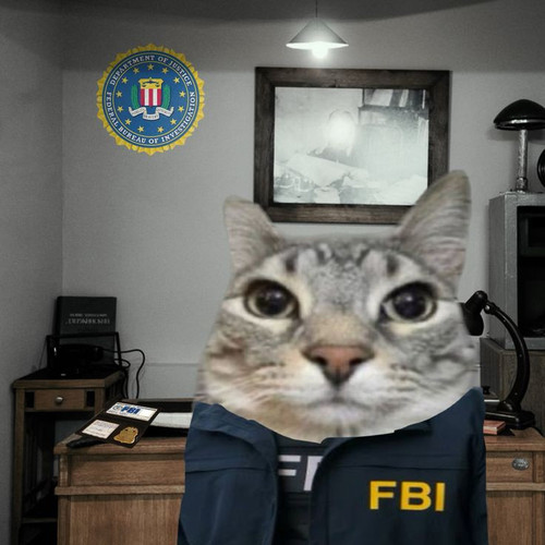 fbi cat.jpg