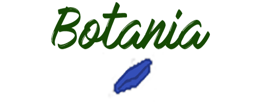 warpBotania.png