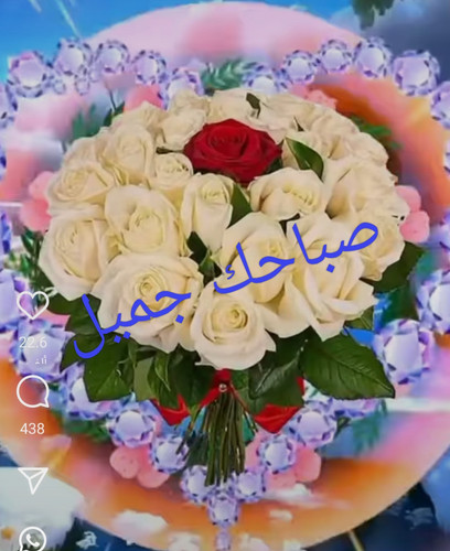 IMG ٢٠٢٥٠١١٧ ١٣٤١٤٩.jpg
