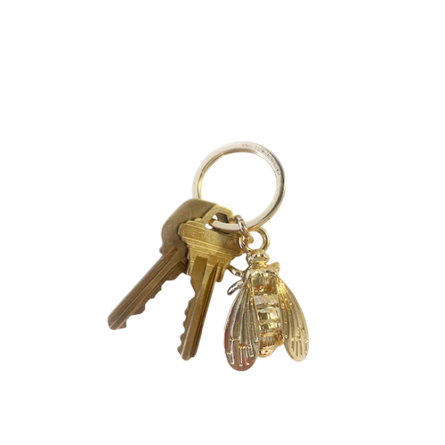 2 1024x1024 2x Photoroom.png