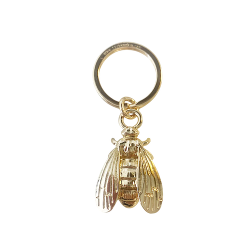 1 1024x1024 2x Photoroom.png