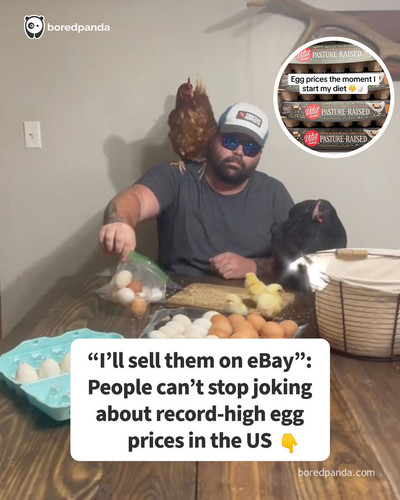 egg 3.jpg