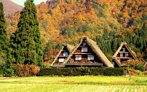 Japan Family Vacation.jpg