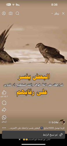 66BD96F1 B515 432F B720 9BC08D9884AF.jpg
