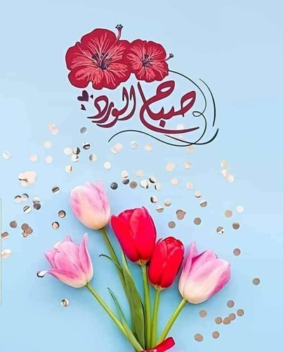 received 643060471621721.jpg
