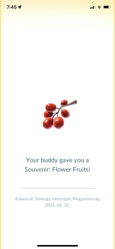 IMG 4033.png