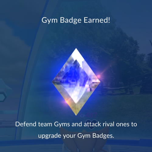 IMG 3964.png