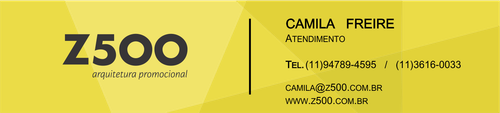 assinatura email camila.png