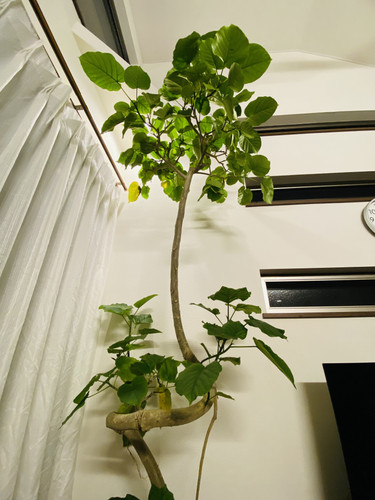 IMG 4467.jpg