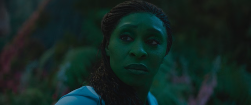 Wicked 2024 BluRay 720p x265 HEVC 10bit Hindi English AAC 5.1 ESub mkvCinemas.mkv snapshot 01.35.49..png
