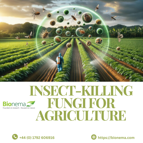 Insect-Killing Fungi: A Natural Solution for Sustainable Agriculture.png