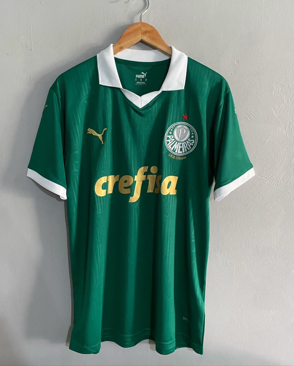 Camisa Palmeiras I 24/25 sn° Torcedor Puma Masculina – Verde