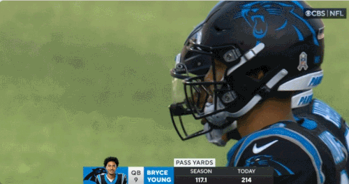 GIF 11 24 2024 1 54 17 PM.gif