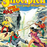 Silberpfeil 581