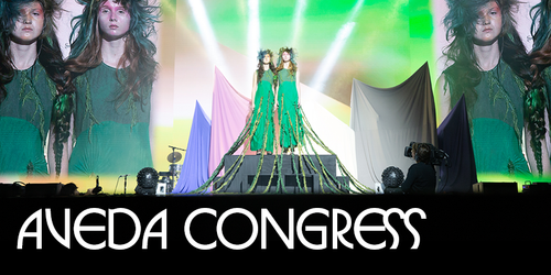 NeillEdu FY25SpringSummer Congress.png