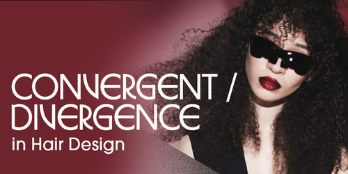 NeillEdu FY25SpringSummer ConvergentDivergence.png