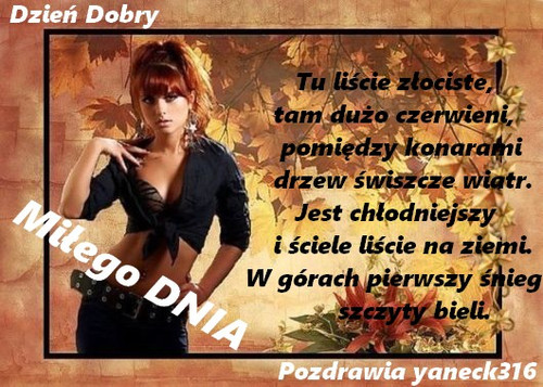 530x378 Jesien obrazek.jpg