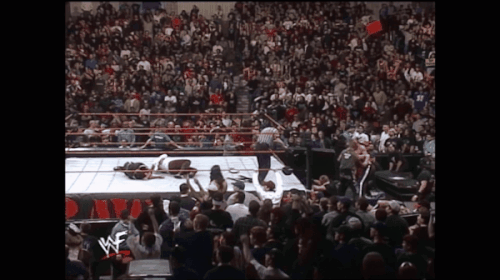 stone cold.gif