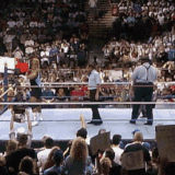 Mr Perfect Towel Smaller.gif