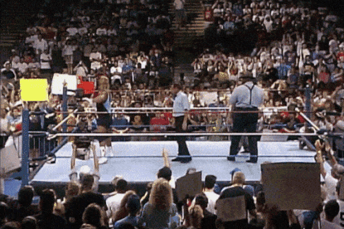Mr Perfect Towel Throw.gif