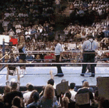 Mr Perfect Towel Throw