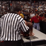 THE ROCK ROCK BOTTOM S TRIPLE H AND SHANE MCMAHON