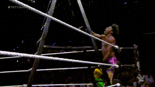 Velveteen Dream Ladders.gif