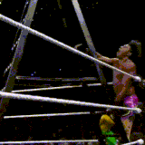 Velveteen Dream Ladders