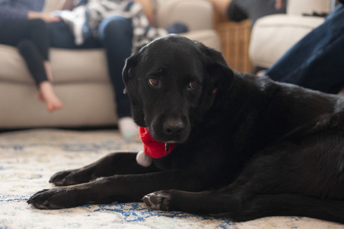 VhydeChristmas2018 24.jpg