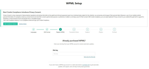 WPML Setup