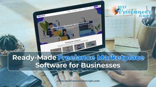 Ready-Made Freelance Marketplace Software for Businesses.jpg
