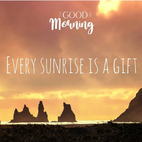 WhatsApp Image 2025 02 08 at 8.07.00 PM.jpg