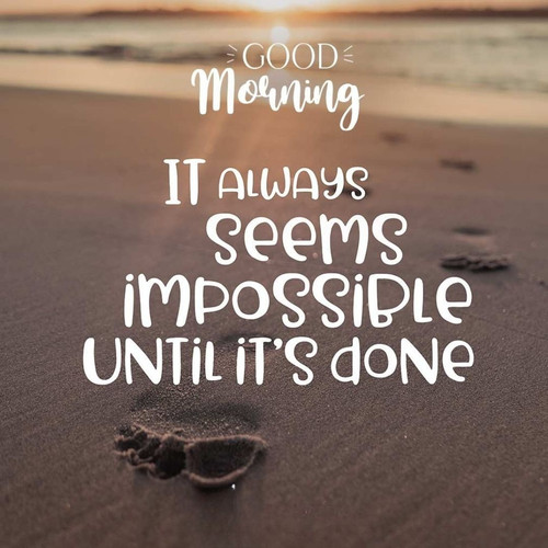 WhatsApp Image 2025 02 08 at 8.06.59 PM (2).jpg