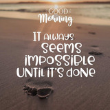 WhatsApp Image 2025 02 08 at 8.06.59 PM (2)