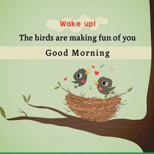 WhatsApp Image 2025 02 08 at 8.06.59 PM (1).jpg