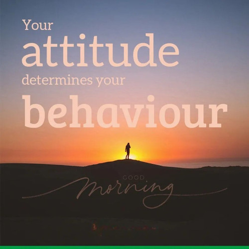 WhatsApp Image 2025 02 08 at 8.06.56 PM (3).jpg