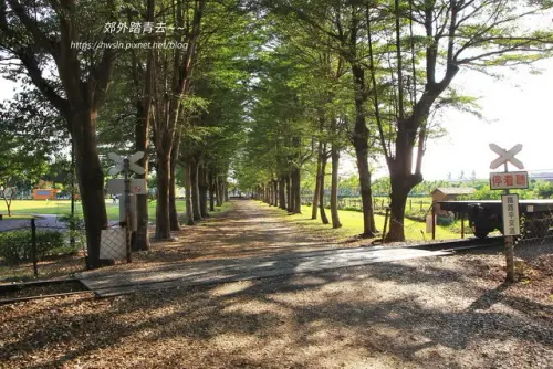 00013 南州糖廠小葉欖仁綠色隧道.webp